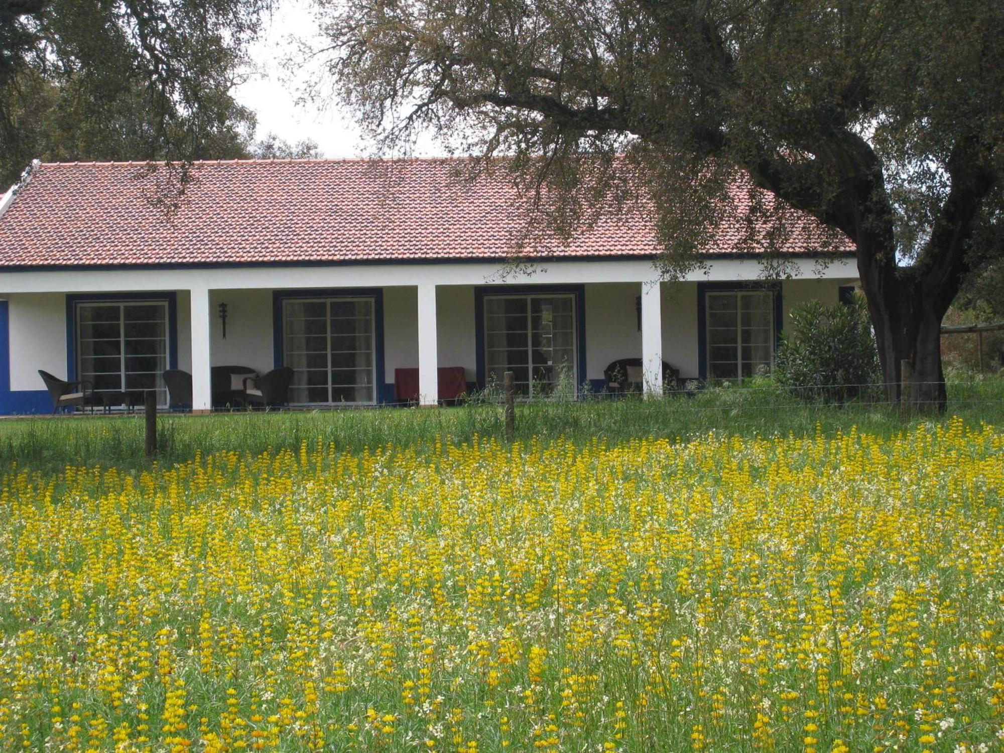 Monte Das Faias Cork Farm Hotel Grândola Kültér fotó