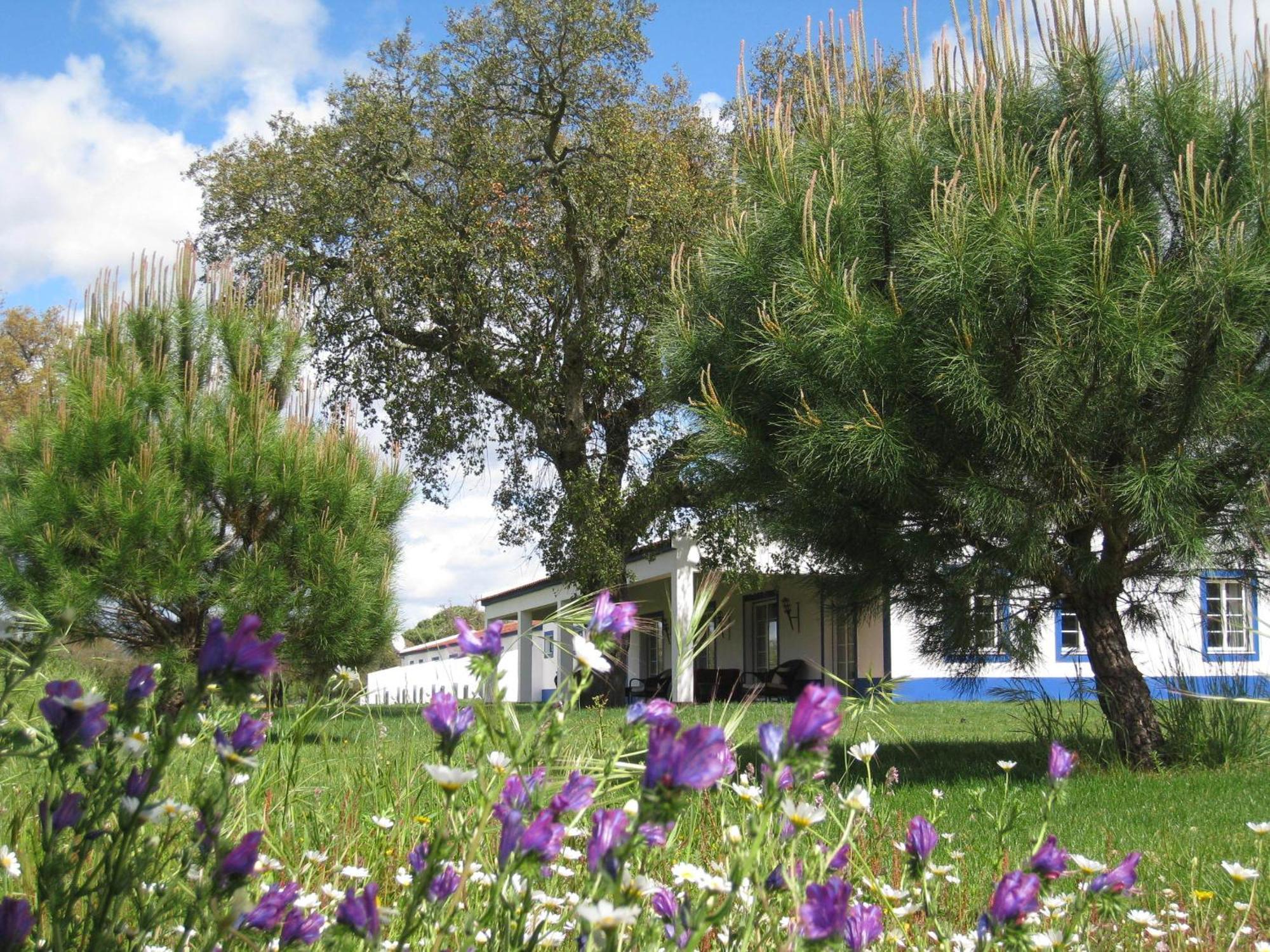 Monte Das Faias Cork Farm Hotel Grândola Kültér fotó